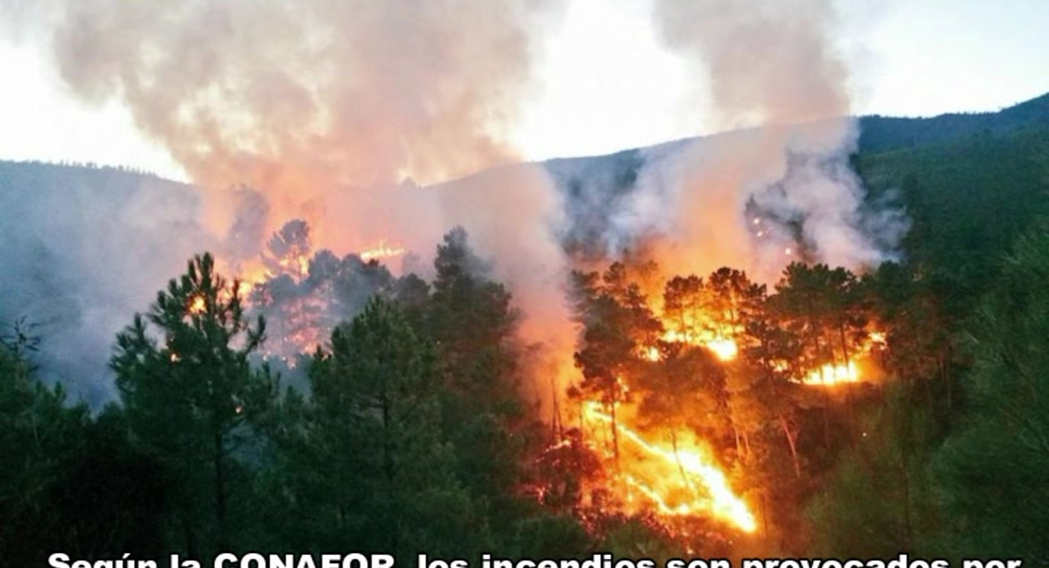 Incendios en México preocupan a la población